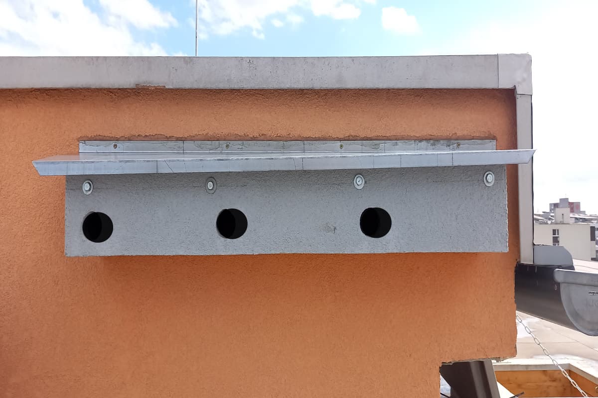 Umiestnenie vtáčej búdky pri zatepľovaní bytového domu: na čo nezabudnúť?